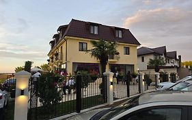 Mihai Palace