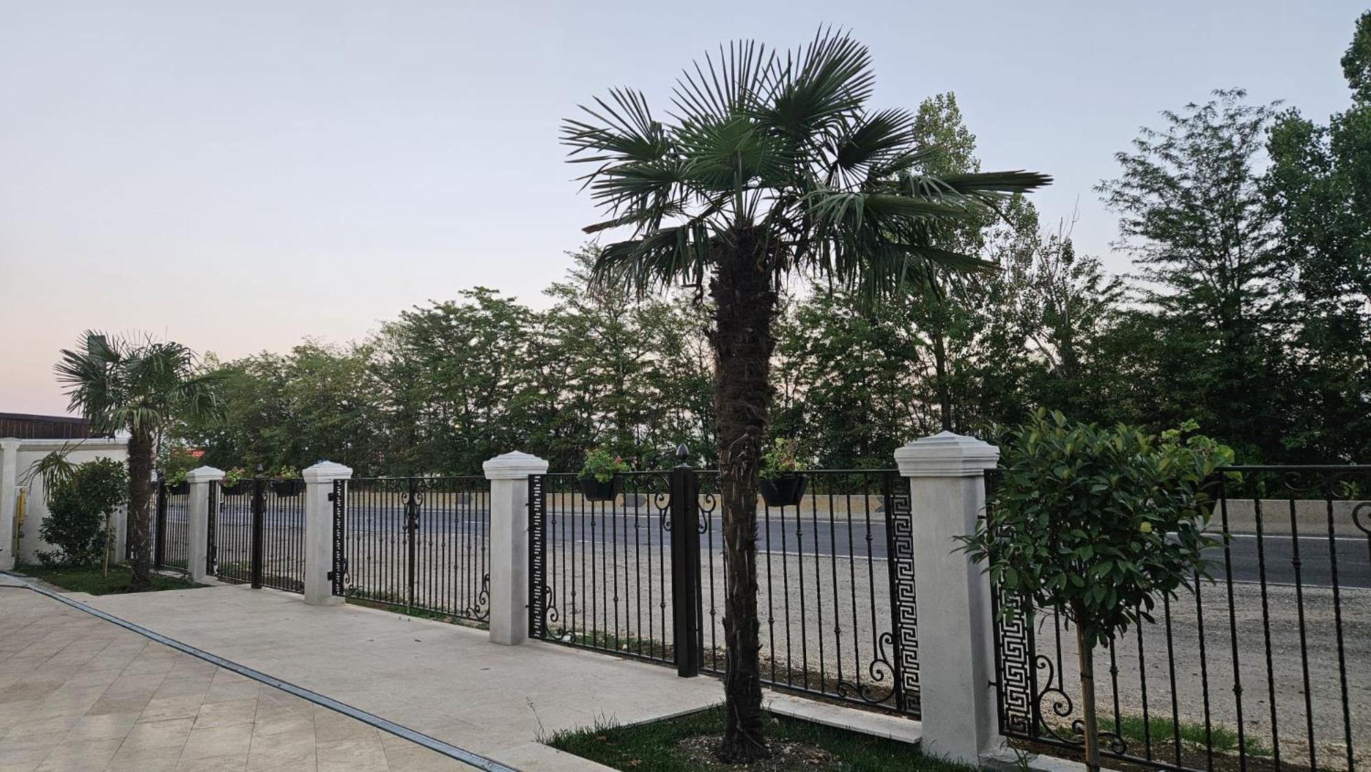 Mihai Palace Buftea Zewnętrze zdjęcie